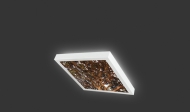 Ceiling light concept 1
